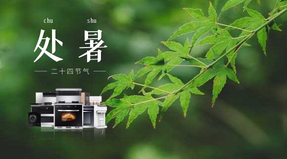 處暑 | 告別“蒸桑拿”，在廚房邂逅科恩集成灶